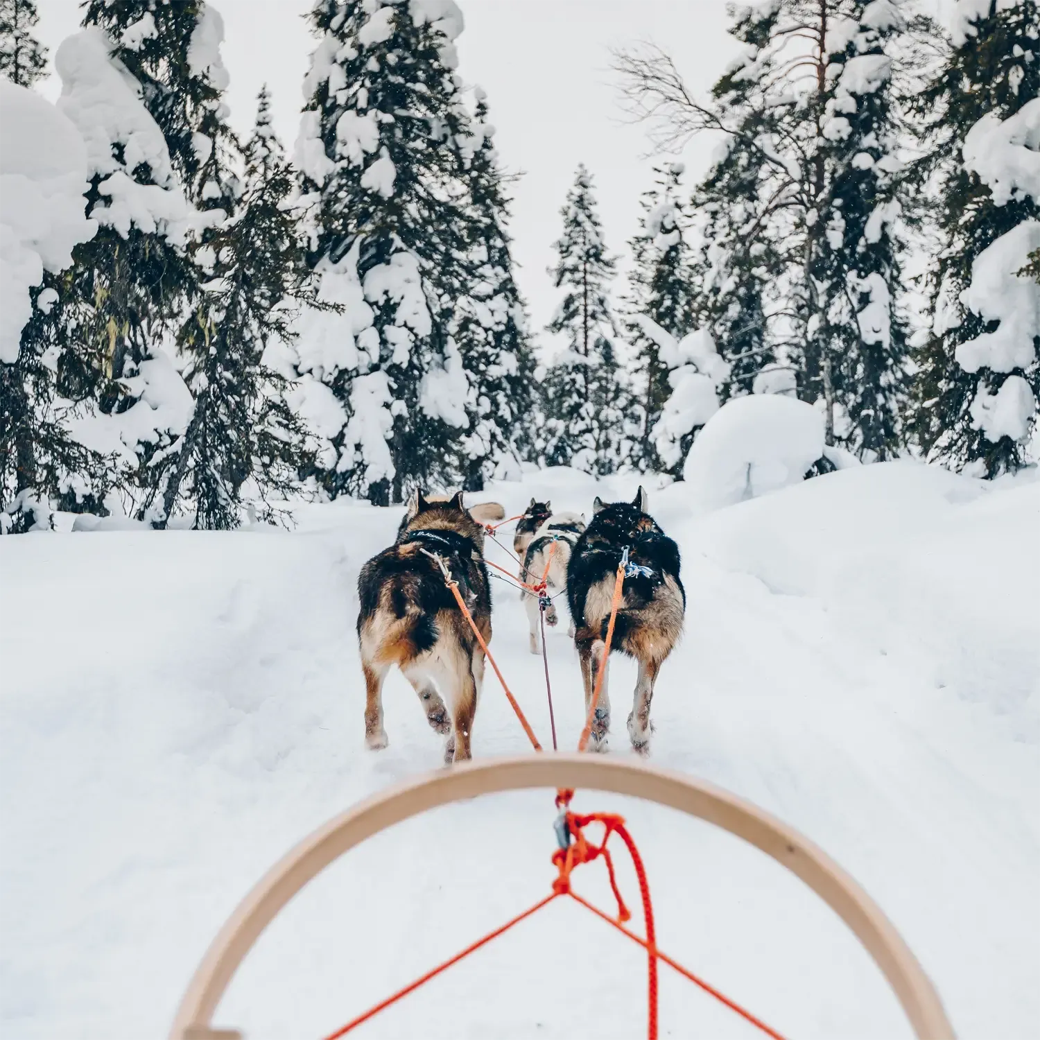 Eine kleine Gruppe, eine besondere Erfahrung