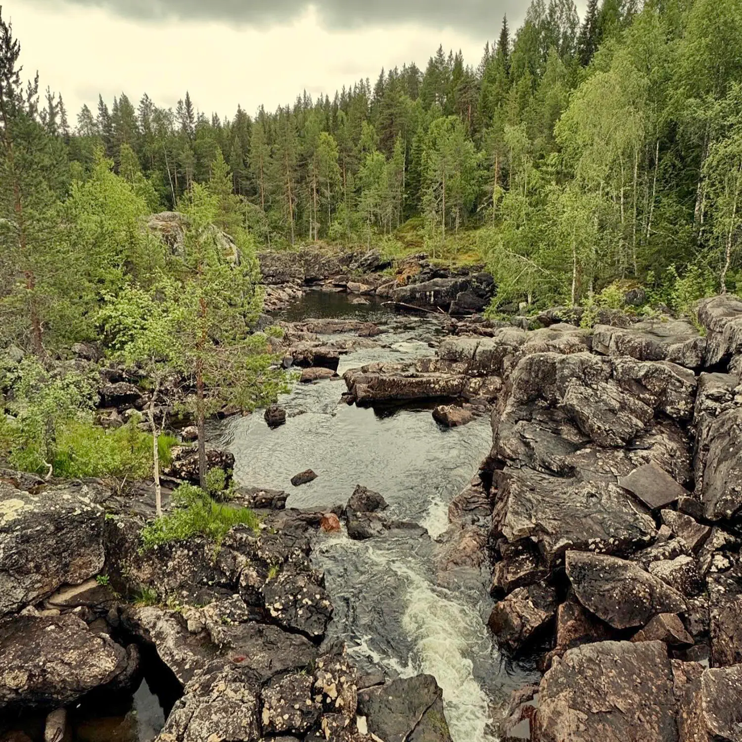 Sommerexpedition 2026 - Bild 3